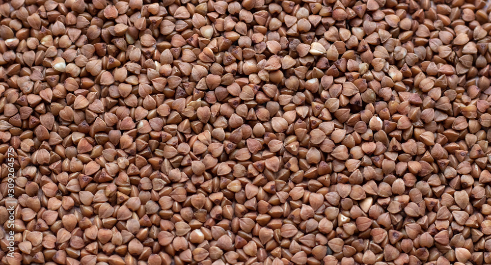 buckwheat. fresh buckwheat. dry buckwheat background. buckwheat texture buckwheat. fresh buckwheat. dry buckwheat background. buckwheat texture
