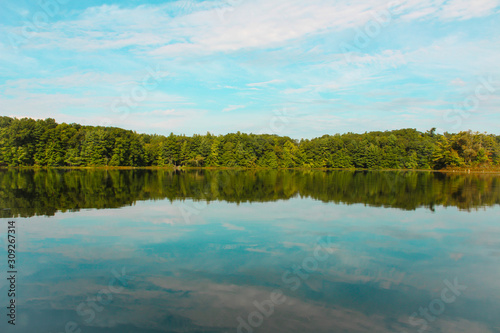 Mirrored Forest in Calm Lake on Sunny Day