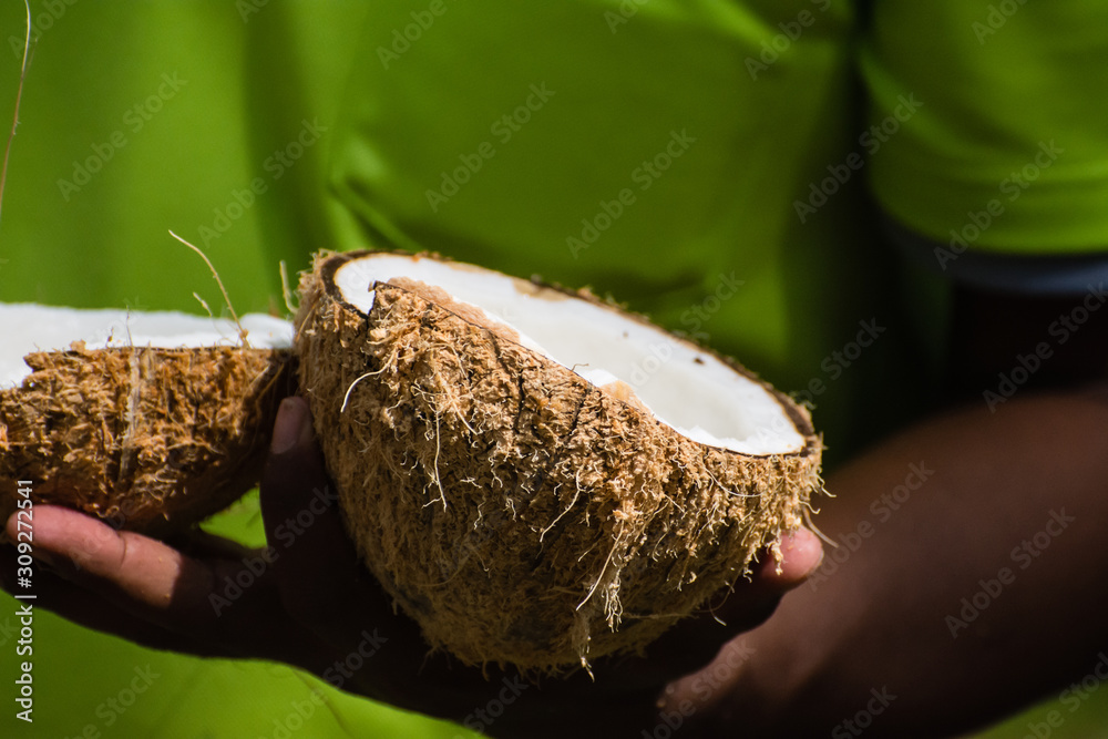men's hands split coconut