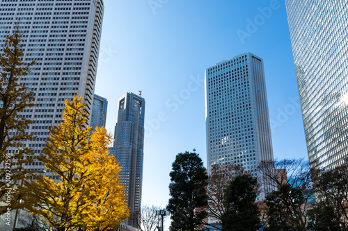 (東京都ｰ都市風景)秋の新宿街並み５ © moarave