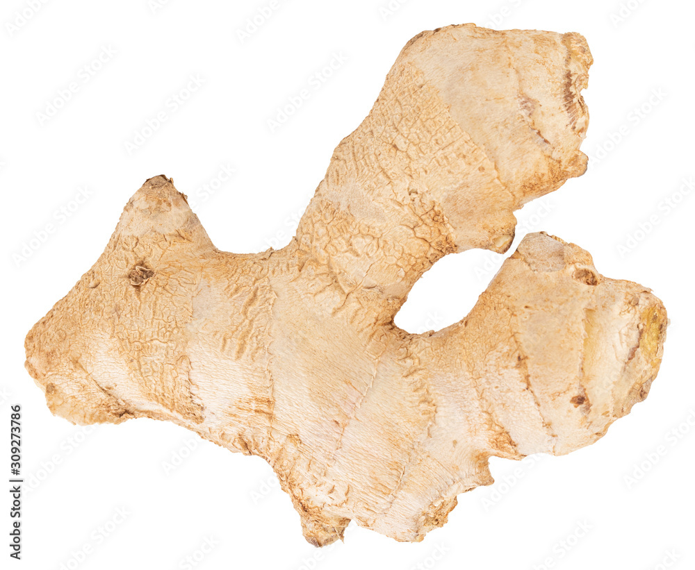 Ginger Isolated on white background Clipping Path Ginger Isolated on white background Clipping Path