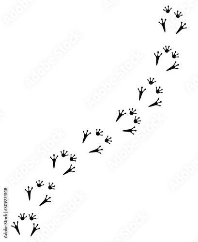 Vector black flat frog foot print path isolated on white background