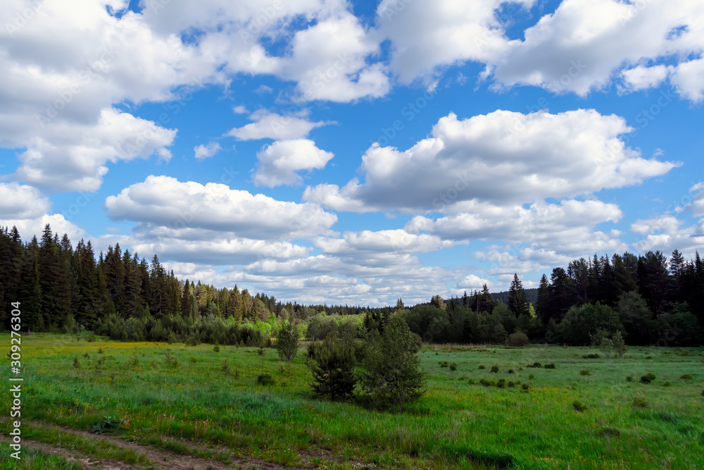 Landscape early autumn fir forest in the Ural mountains. Landscape early autumn fir forest in the Ural mountains.