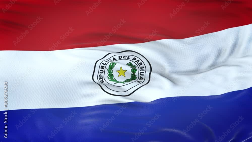 Paraguay flag waving in the wind with highly detailed fabric texture. Seamless loop Paraguay flag waving in the wind with highly detailed fabric texture. Seamless loop