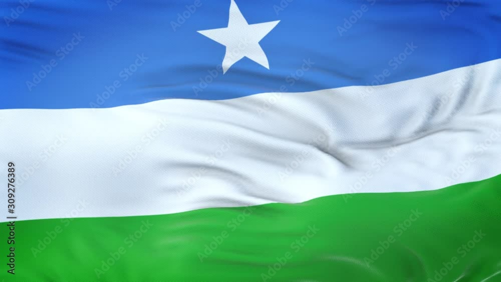 Puntland flag waving in the wind with highly detailed fabric texture. Seamless loop