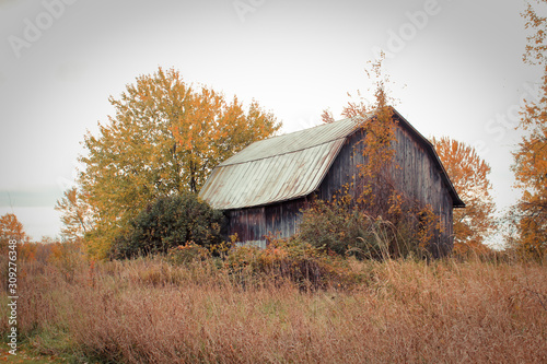 Abandoned Barn Against Grey Autumn Sky