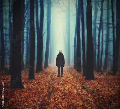 woman in the forest. man walks in a foggy forest. morning fog in a golden autumn forest