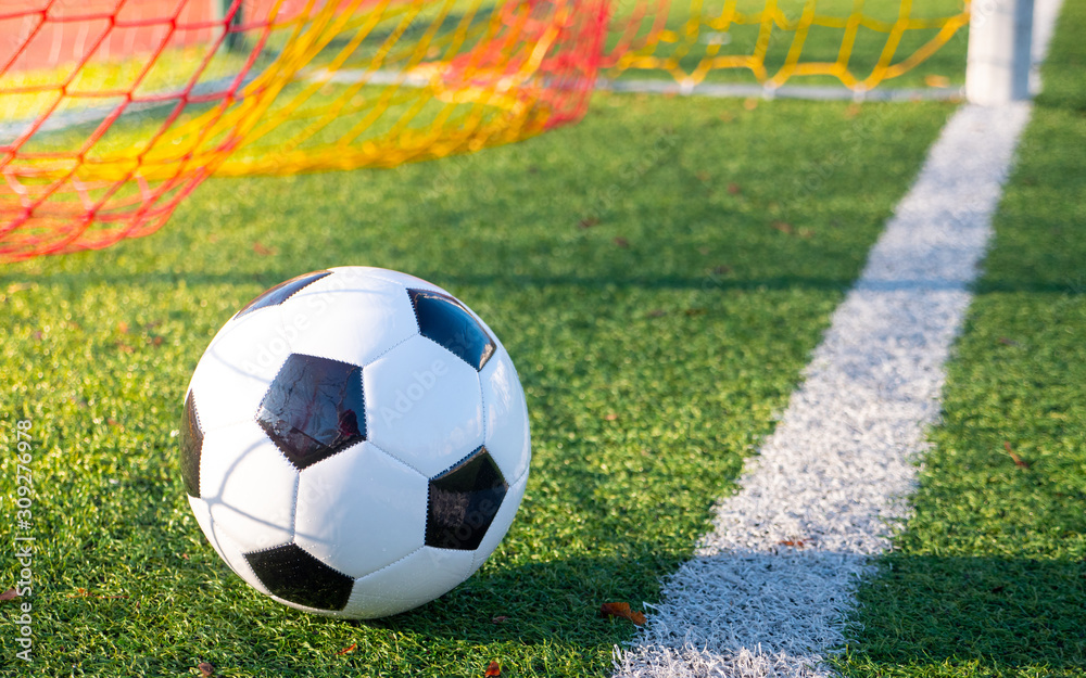 Fototapeta premium The ball on the soccer goal line. Green grass, white line, colorful net from the football gate.