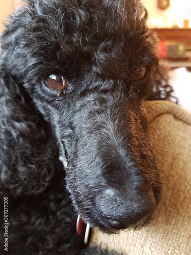 eye to eye