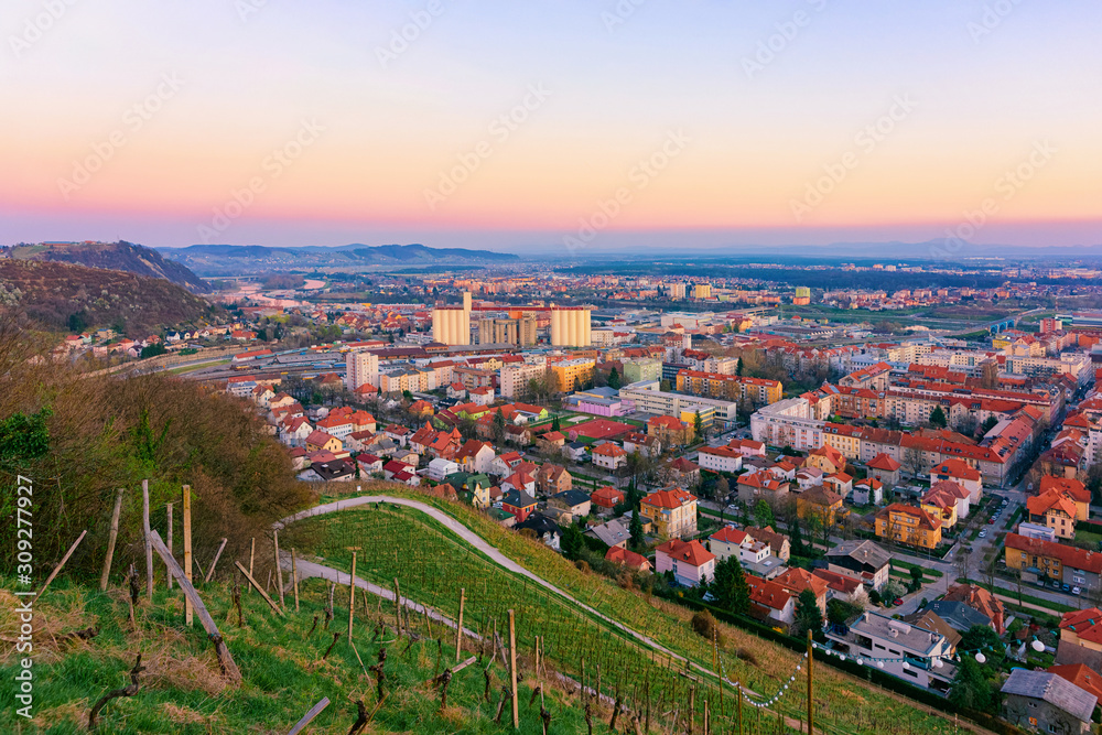 Fototapeta premium Romantic Landscape and cityscape with vineyards in Maribor