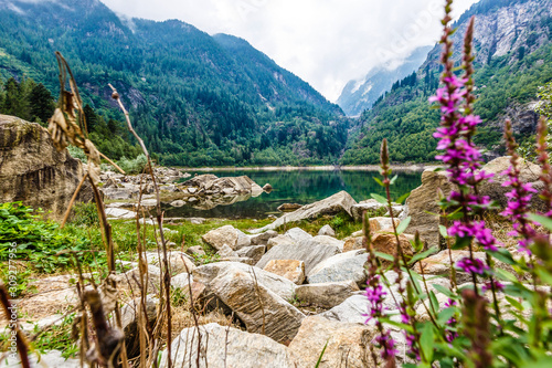 A summer day on Lake Antrona, in the Italian Alps, in Piedmont. photo