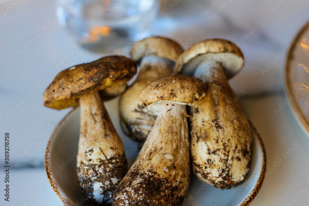 bowl full of freshly picked mushrooms bowl full of freshly picked mushrooms