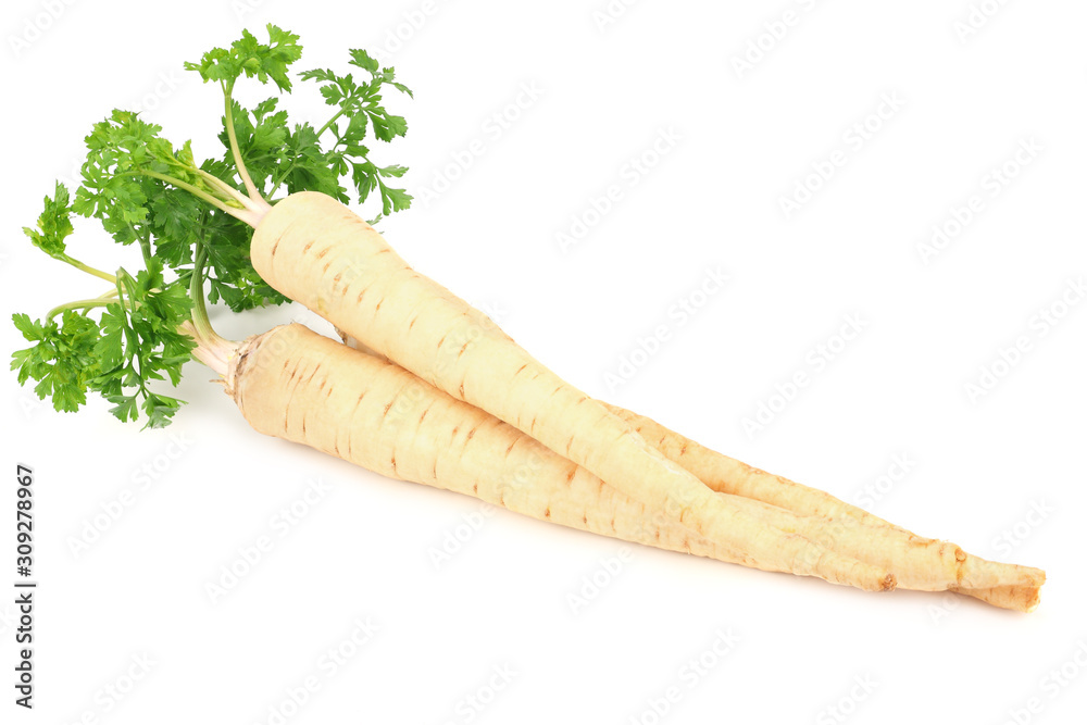 fresh parsley root isolated on white background fresh parsley root isolated on white background