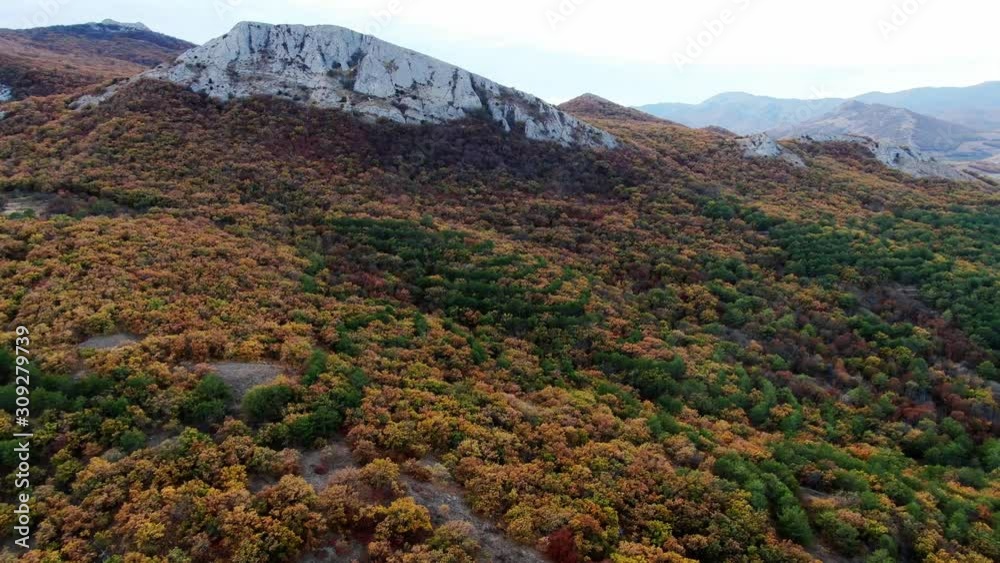 flying over a mountain range overgrown with trees flying over a mountain range overgrown with trees