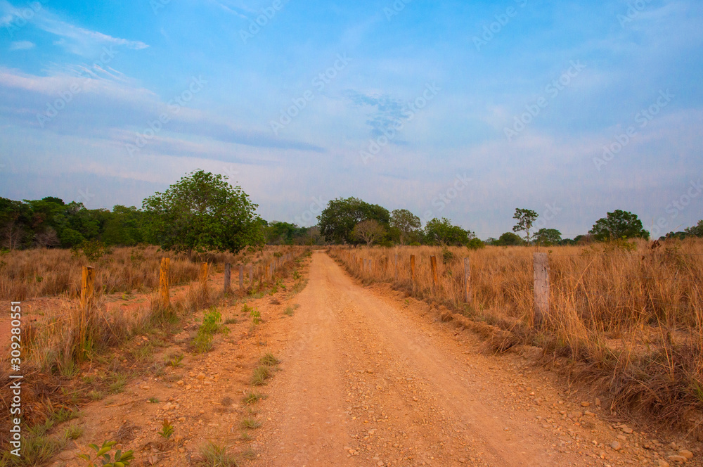 dirt road and wire fence