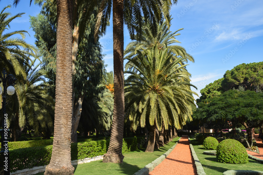 Bahai Gardens in Haifa. Bahai Gardens in Haifa.