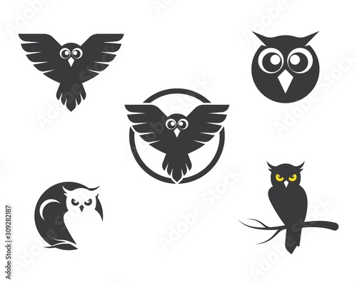 Fototapeta Naklejka Na Ścianę i Meble -  owl icon vector illustration