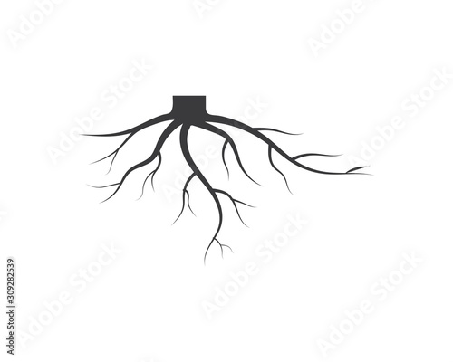 tree roots vector icon illustration design