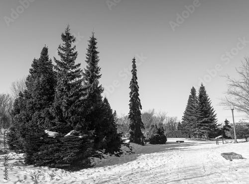 Maizerets park in Quebec city photo