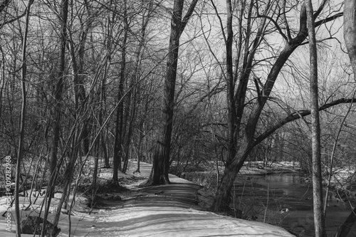 Maizerets park in Quebec city photo