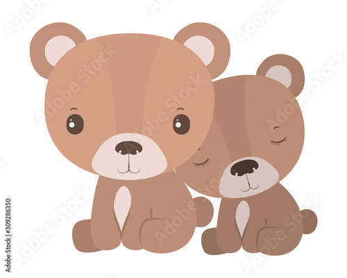 Isolated cute bears cartoons vector design