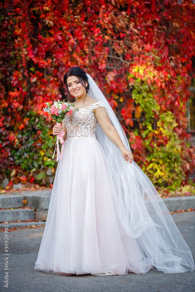 The bride portrait in the autumn forest. Bride in wedding dress on natural red background. Wedding day. The bride portrait in the autumn forest. Bride in wedding dress on natural red background. Wedding day.