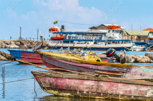 Colorful old wooden fishing boats docked and rope tied on the sea by the pier with birds on top in Montego Bay, Jamaica. Fishing is a traditional profession/ work/ job in tropical Caribbean islands. photo