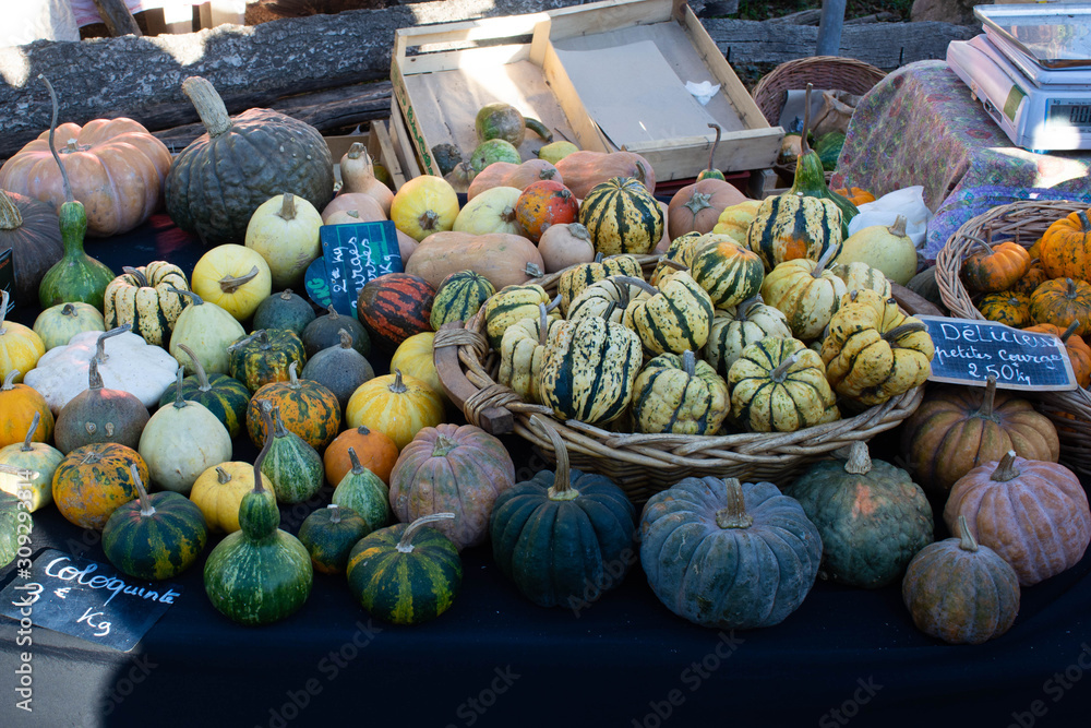 Pumpkins of different types and colors in a rural street market