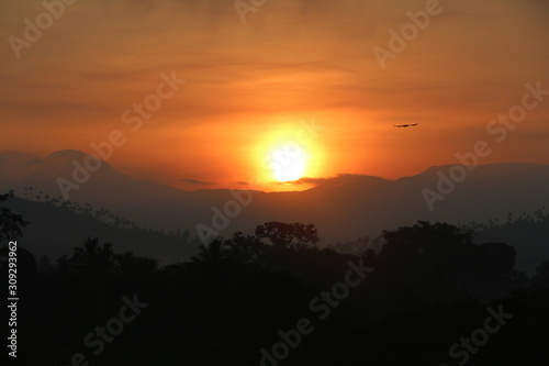 Mountain sunrise with bird