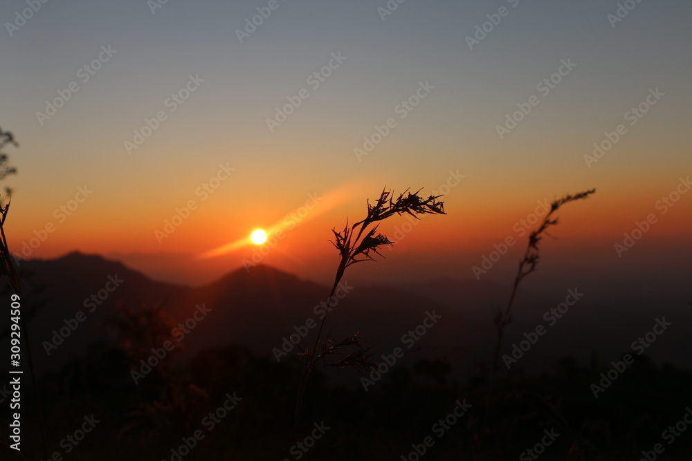 sunrise in mountain with wheat