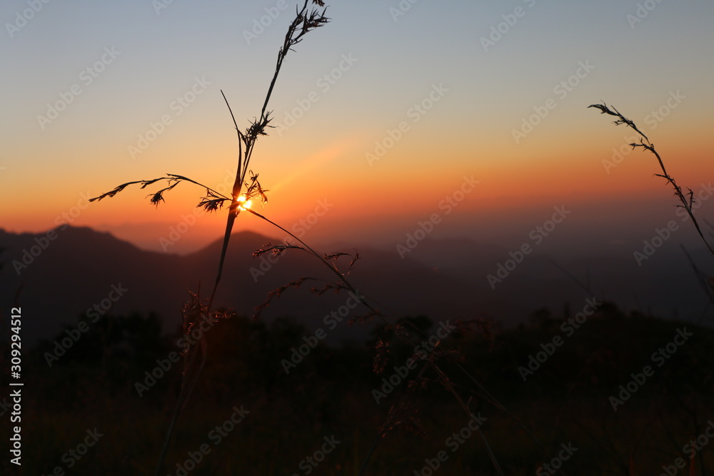Naklejka premium mountain sunrise crossed wheat