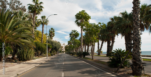 beautiful photo of streets of malaga city, trees, palm trees and clouds in blue sky