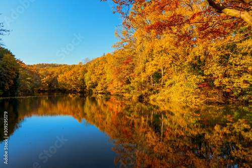 震生湖の紅葉