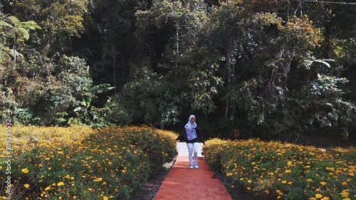 Attractive young Muslim woman walking and enjoying view of green park with beautiful flowers at Cameron Highlands, Pahang