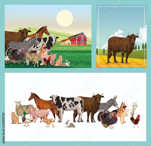 group of animals farm with stable in the camp
