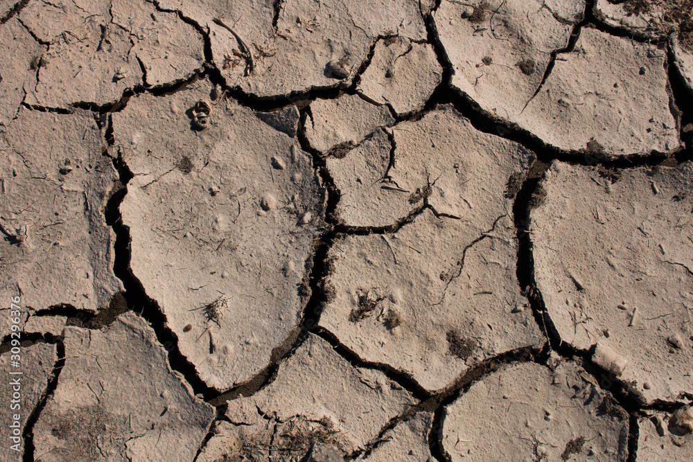 Fototapeta premium Suelo cortado seco