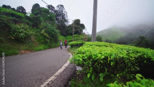 Young couple, enjoying view at tea farm, Genting Highlands, adventure journey, photographer carrying tripod, walking together with partner at rural meadow nature landscape at morning.