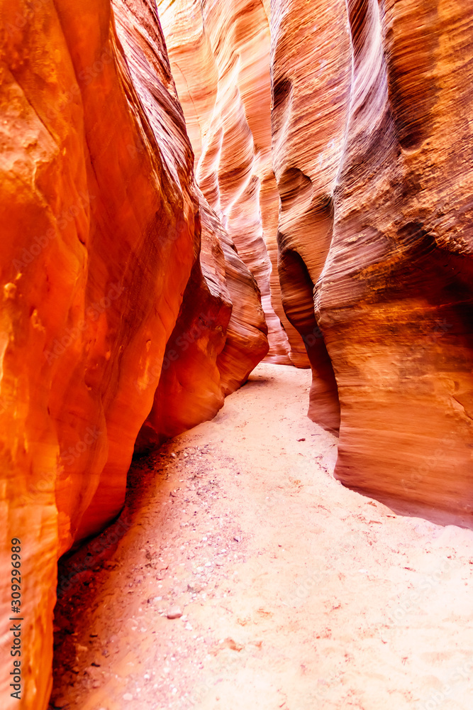 The smooth curved Red Sandstone walls caused by water erosion in Mountain Sheep Canyon. Mountain Sheep Canyon is one of the famous Slot Canyons in the Navajo lands near Page Arizona, United States