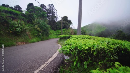 Young couple, enjoying view at tea farm, Genting Highlands, adventure journey, photographer carrying tripod, walking together with partner at rural meadow nature landscape at morning.