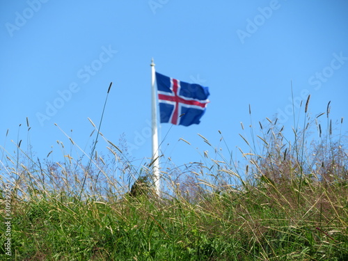 Icelandic flag behind grass