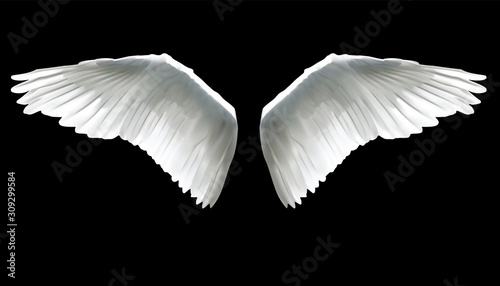 Realistic elegant white angel wings on black background.