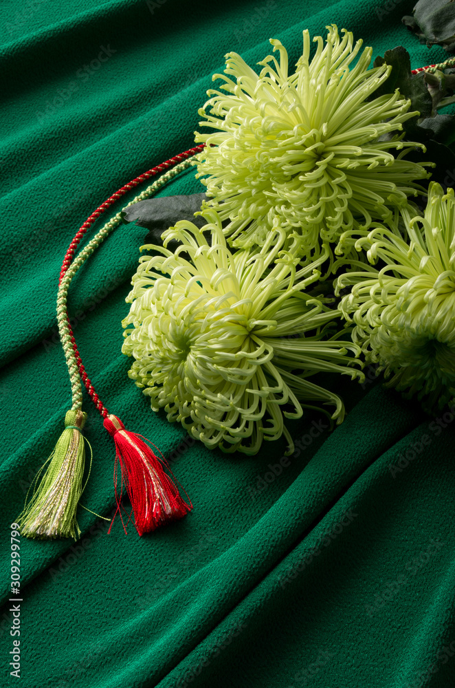 菊と組紐と縮緬布の背景stock Photo Adobe Stock