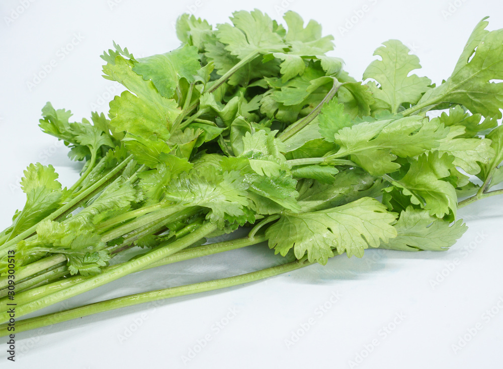 organic thai Celery leaves, green vegetables background plants