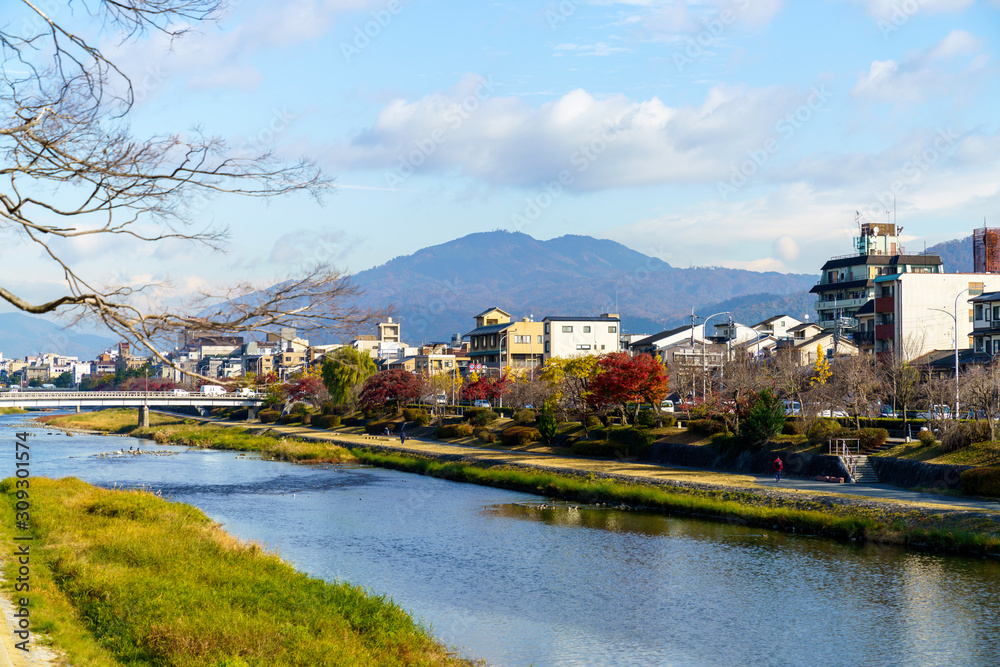 京都の鴨川