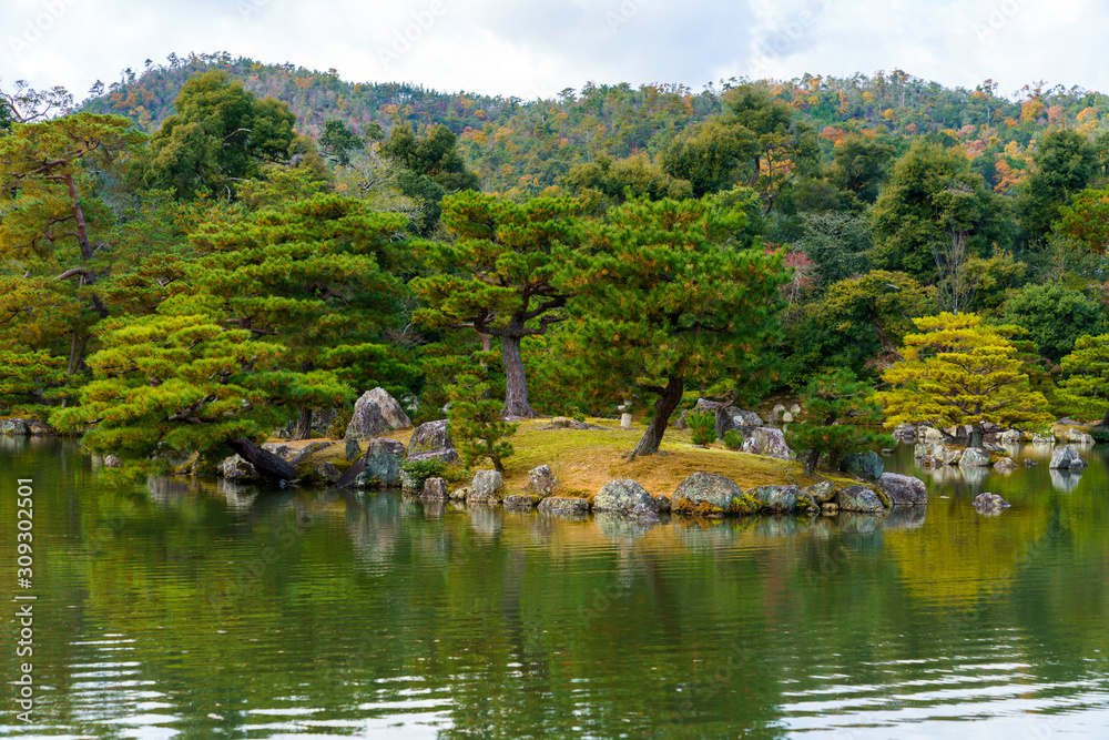 庭園の池と松