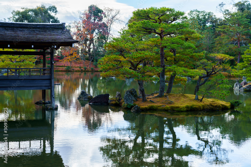 庭園の池と松