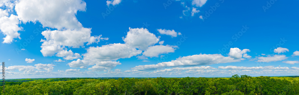 Sibley State Park Mount Tom Trail Blue sky panorama with clouds over tops of green trees Sibley State Park Mount Tom Trail Blue sky panorama with clouds over tops of green trees