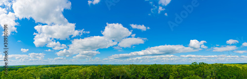 Sibley State Park  Mount Tom Trail Blue sky panorama with clouds over tops of green trees