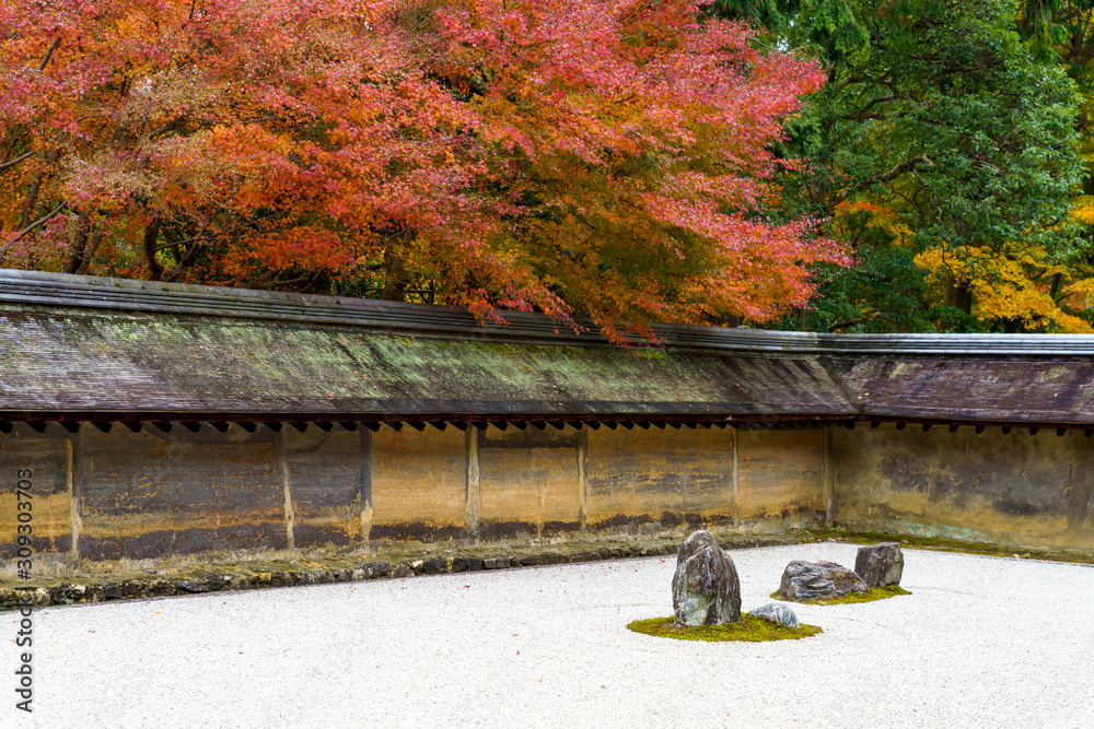 枯山水と紅葉したモミジ