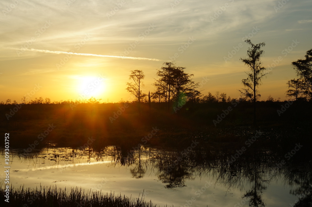 Louisiana swamp sunset and silhouettes